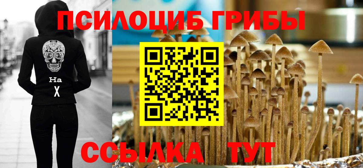 Можга  Галлюциногенные грибы прущие грибы  даркнет сайт  Вход с VPN  Галлюциногенные грибы ЛСД 